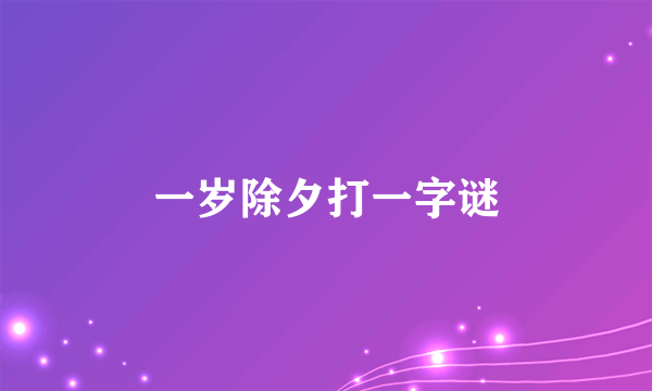 一岁除夕打一字谜
