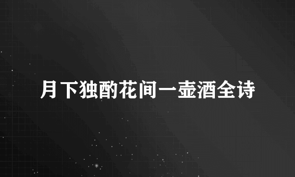 月下独酌花间一壶酒全诗