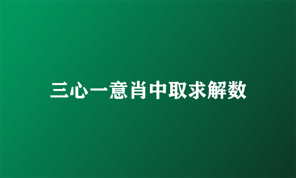 三心一意肖中取求解数
