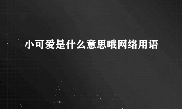 小可爱是什么意思哦网络用语