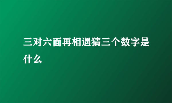 三对六面再相遇猜三个数字是什么