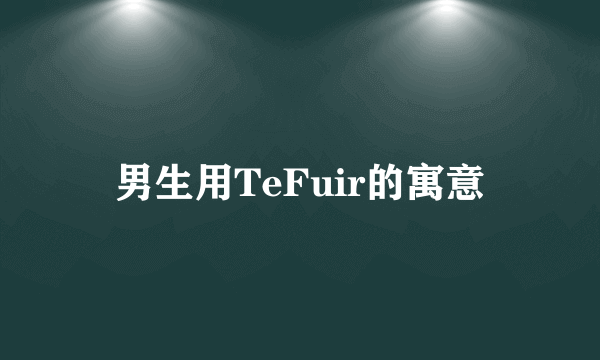 男生用TeFuir的寓意