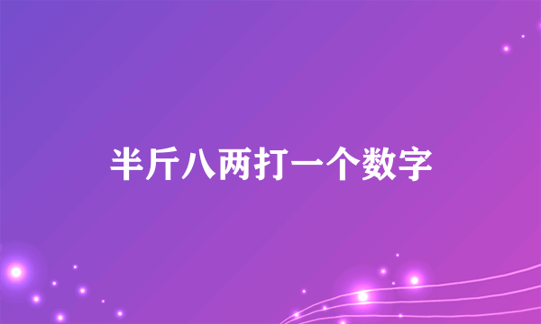 半斤八两打一个数字
