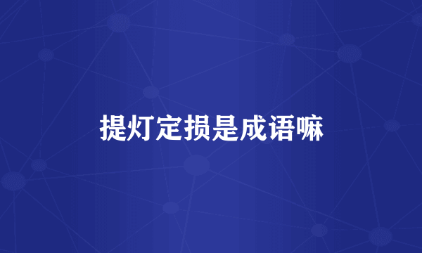 提灯定损是成语嘛