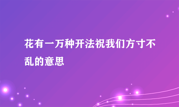 花有一万种开法祝我们方寸不乱的意思