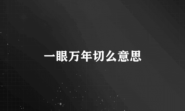 一眼万年切么意思