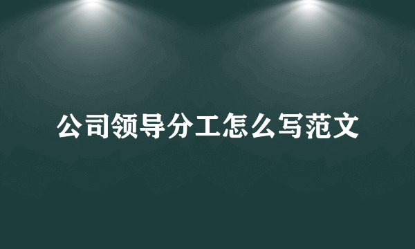 公司领导分工怎么写范文