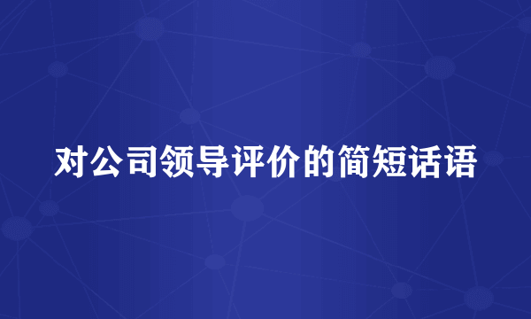 对公司领导评价的简短话语