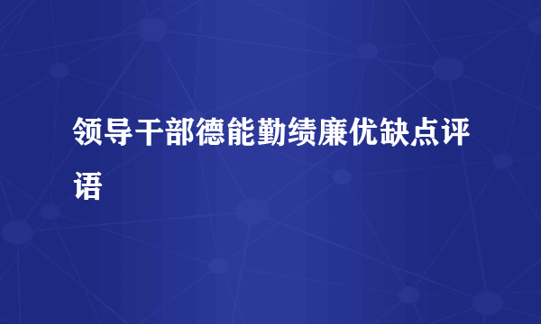 领导干部德能勤绩廉优缺点评语