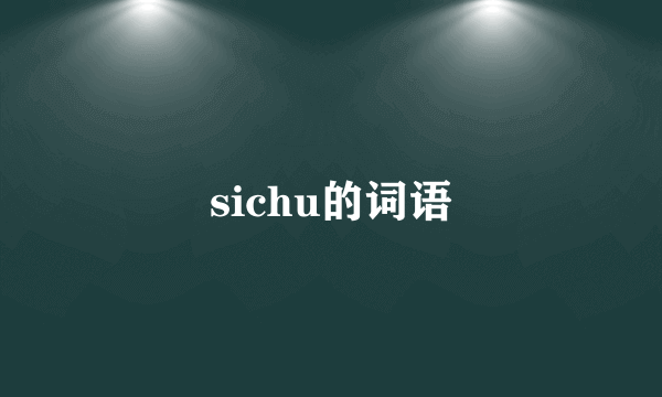 sichu的词语