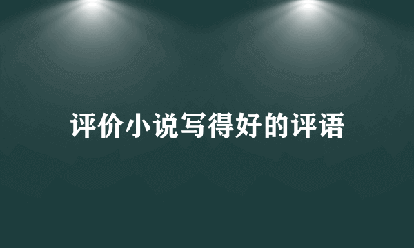 评价小说写得好的评语