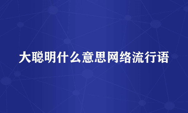 大聪明什么意思网络流行语