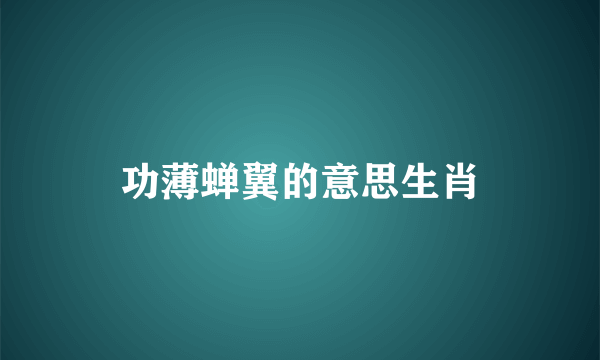 功薄蝉翼的意思生肖