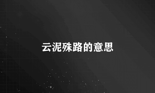 云泥殊路的意思