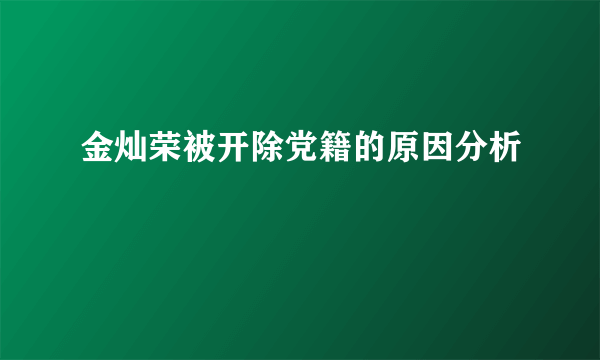 金灿荣被开除党籍的原因分析
