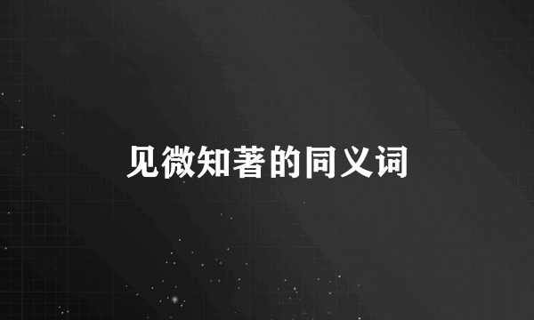 见微知著的同义词