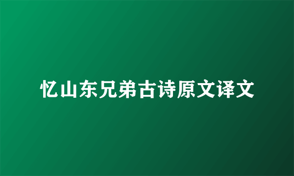 忆山东兄弟古诗原文译文
