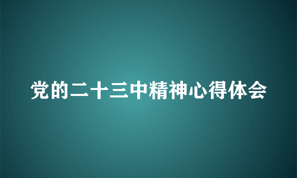 党的二十三中精神心得体会