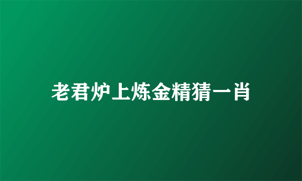 老君炉上炼金精猜一肖