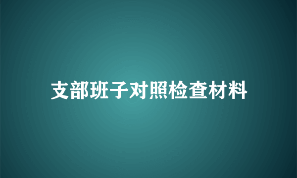 支部班子对照检查材料
