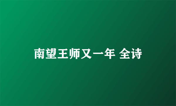 南望王师又一年 全诗