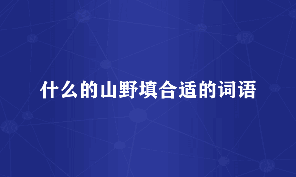 什么的山野填合适的词语