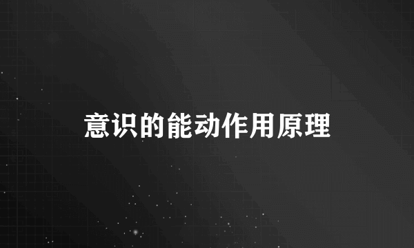 意识的能动作用原理