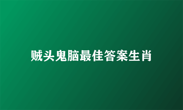 贼头鬼脑最佳答案生肖