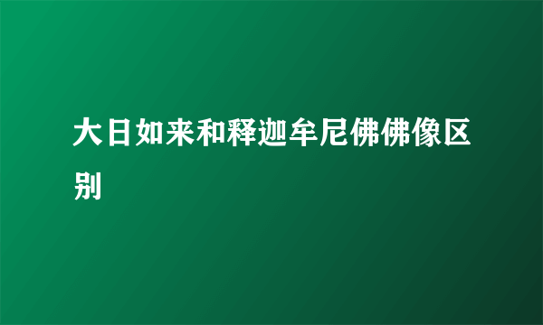 大日如来和释迦牟尼佛佛像区别
