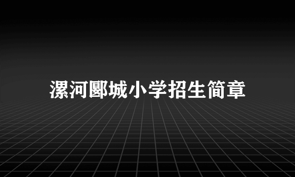 漯河郾城小学招生简章