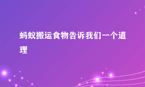 蚂蚁搬运食物告诉我们一个道理