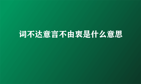 词不达意言不由衷是什么意思