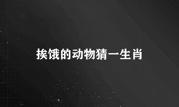 挨饿的动物猜一生肖