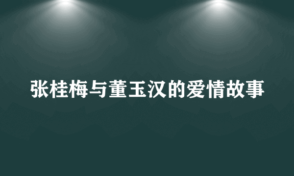 张桂梅与董玉汉的爱情故事