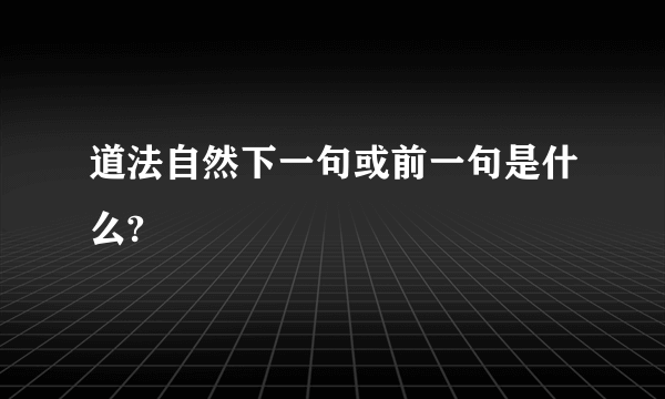 道法自然下一句或前一句是什么?