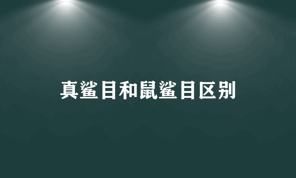 真鲨目和鼠鲨目区别