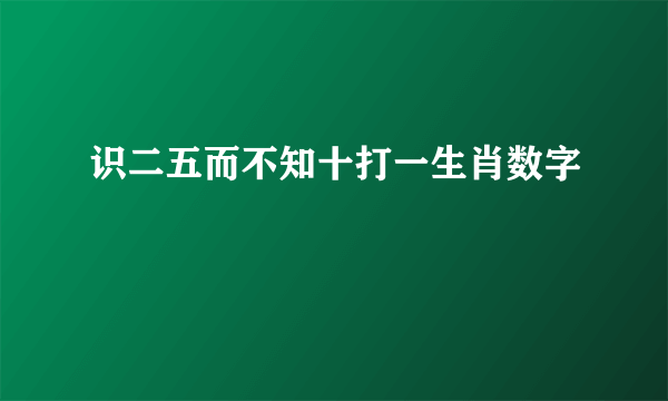 识二五而不知十打一生肖数字