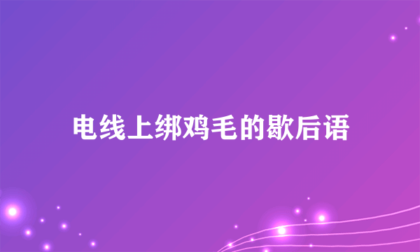 电线上绑鸡毛的歇后语