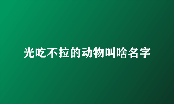 光吃不拉的动物叫啥名字