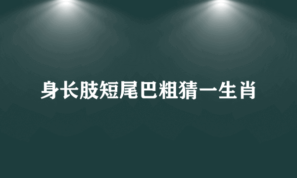身长肢短尾巴粗猜一生肖