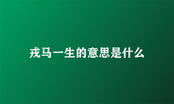 戎马一生的意思是什么