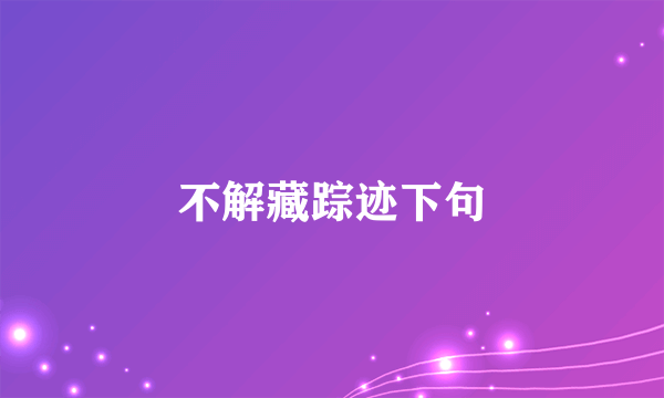 不解藏踪迹下句