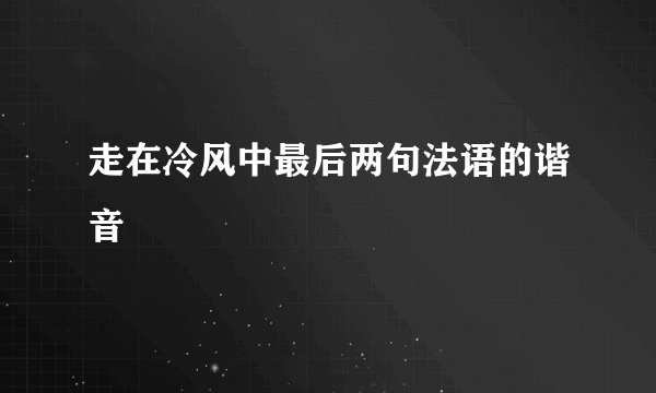 走在冷风中最后两句法语的谐音