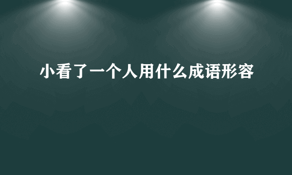 小看了一个人用什么成语形容