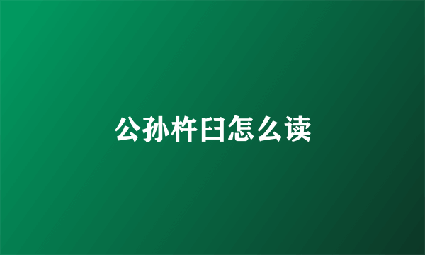 公孙杵臼怎么读