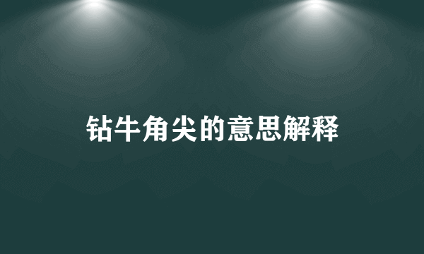 钻牛角尖的意思解释