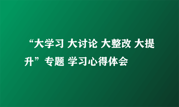 “大学习 大讨论 大整改 大提升”专题 学习心得体会