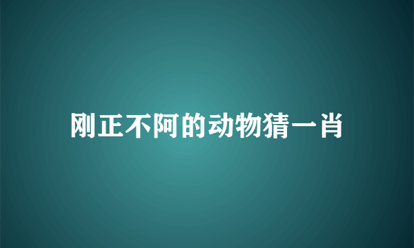 刚正不阿的动物猜一肖
