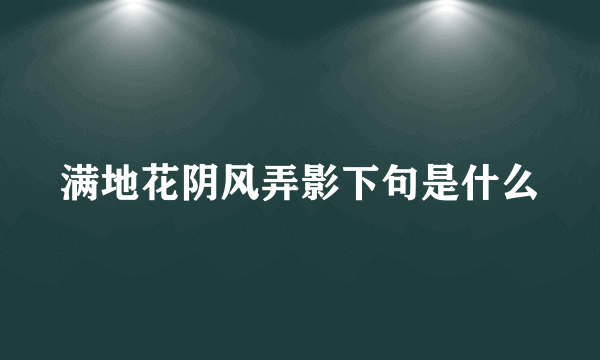 满地花阴风弄影下句是什么