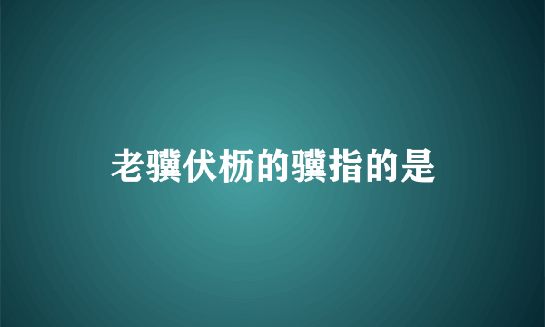 老骥伏枥的骥指的是